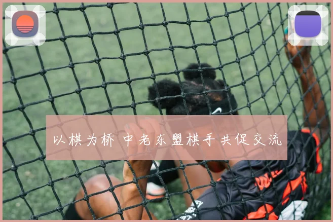 以棋为桥 中老东盟棋手共促交流