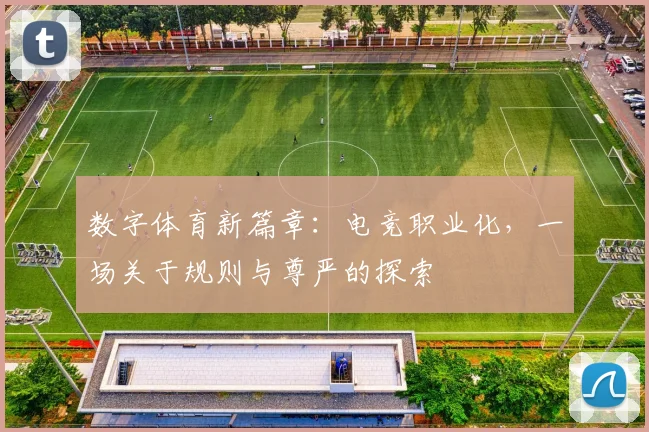 数字体育新篇章：电竞职业化，一场关于规则与尊严的探索