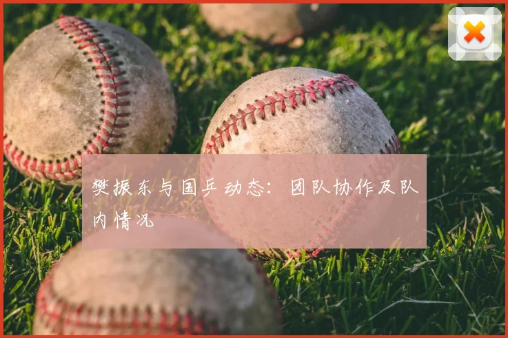樊振东与国乒动态：团队协作及队内情况