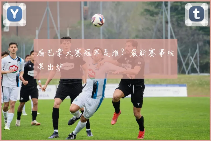 扇巴掌大赛冠军是谁？最新赛事结果出炉