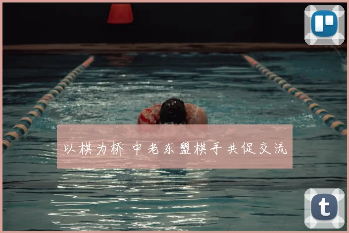 以棋为桥 中老东盟棋手共促交流