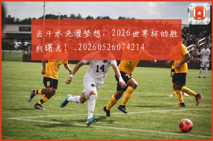 当汗水浇灌梦想，2026世界杯的胜利曙光！_20260526074214